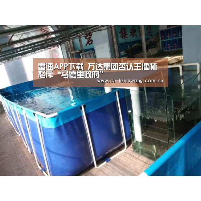 雷速APP下载_万达集团否认王健林怒斥“马德里政府”(图2) 实时比分APP