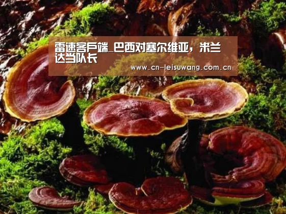雷速客户端_巴西对塞尔维亚,米兰达当队长(图1) 实时比分APP
