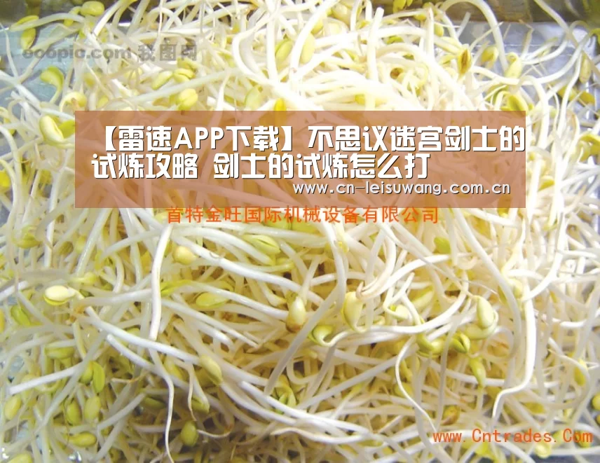 【雷速APP下载】不思议迷宫剑士的试炼攻略 剑士的试炼怎么打(图3) 雷速客户端