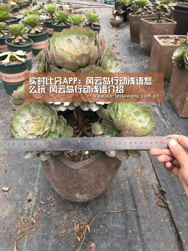 雷速APP下载